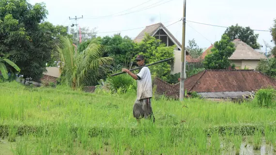 Pondok Permata Homestay | Bali - Ubud - Petulu