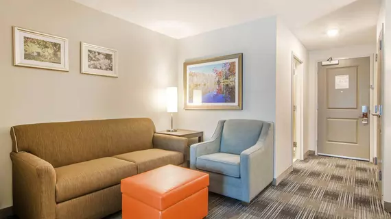 Comfort Inn and Suites East Ellijay | Georgia - Blue Ridge (ve civarı) - Ellijay