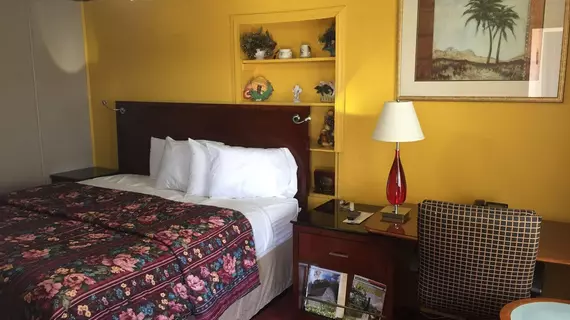 Ellijay Inn | Georgia - Blue Ridge (ve civarı) - Ellijay