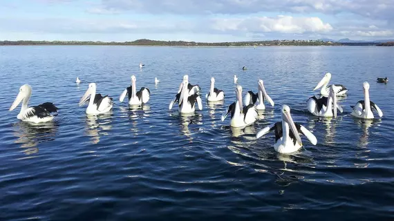 Pelican Point Sanctuary | Tazmanya - St Helens