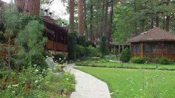 Shadow Mountain Lodge and Cabins | New Mexico - Ruidoso (ve civarı) - Ruidoso