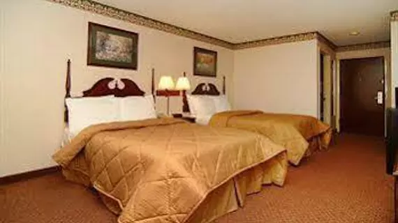 Comfort Inn Pine Bluff | Arkansas - Pine Bluff (ve civarı) - Pine Bluff