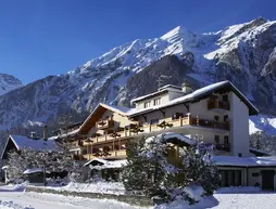 Hotel Alfa Soleil | Bern Kantonu - Frutigen District - Kandersteg