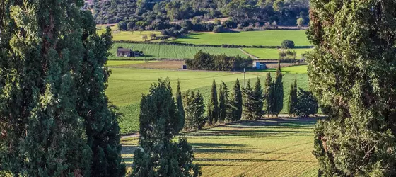 Son Fogueró | Balearic Adaları - Mayorka Adası - Pla de Mallorca