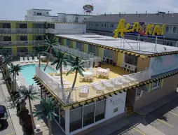 Ala Kai Motel | New Jersey - Middle Township - Cape May - Wildwood (ve civarı) - Wildwood Crest