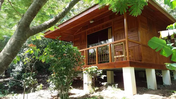 Rancho de Lelo Ecolodge and Sustainable Farm | Puntarenas (ili) - Monteverde