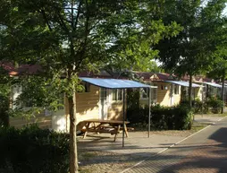 Camping Village Roma | Lazio - Roma (ve civarı) - Aurelio