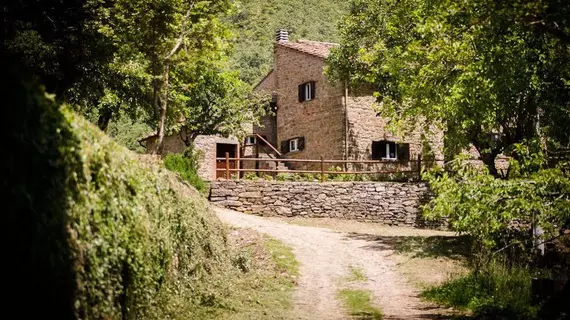 Borgo Al Teto Il Gelso | Toskana - Arezzo (vilayet) - Castiglion Fiorentino