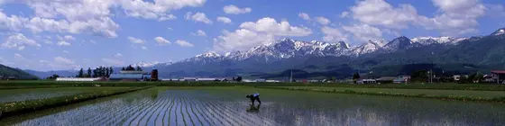 Furano Natulux Hotel | Hokkaido - Furano