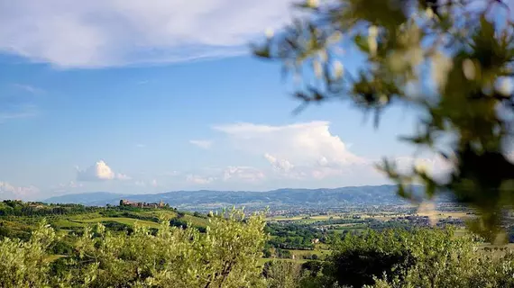 Agriturismo Le Colombe | Umbria - Perugia (vilayet) - Assisi