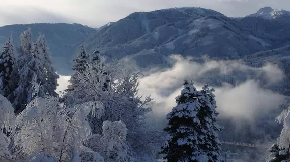 Hotel Orso Grigio | Trentino-Alto Adige - Trento İli - Cavalese