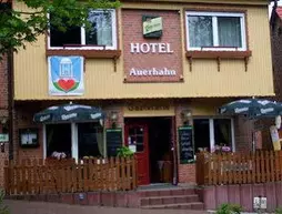 Hotel Auerhahn | Saxony (Saksonya)-Anhalt - Bad Suderode