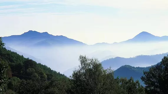 Le Domaine De Falgos | Occitanie - Pyrenees-Orientales (Doğu Pireneler) - Serralongue