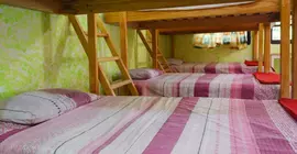 Amigos Hostel Cozumel | Quintana Roo - Cozumel