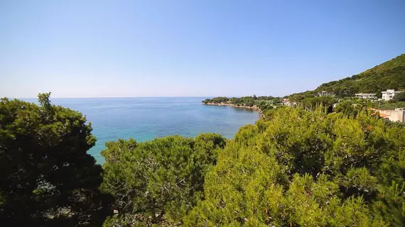 Punta Licosa | Campania - Salerno (il) - Castellabate - Ogliastro Marina