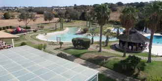 Yellow Alvor Garden