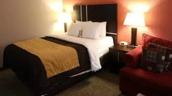 Comfort Inn And Suites | Saskatchewan - Yorkton