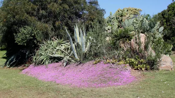 Villa Salinedda | Sardinya - Sassari - San Teodoro