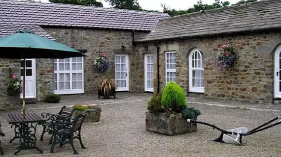 Whashton Springs Farmhouse B&B | Kuzey Yorkshire (kontluk) - Richmond