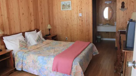 Motel Des Pays D'En Haut | Quebec - Les Laurentides Regional County Belediyesi - Val David