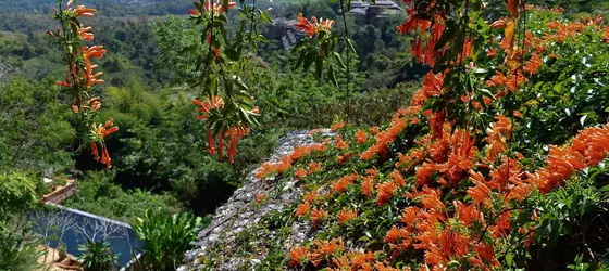 Phu Chaisai Mountain Resort & Spa | Chiang Rai İli - Mae Chan