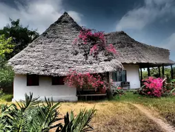 Zanzibar Villas