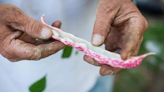 Montanema Handmade Village | Tesalya - Karditsa (bölge) - Mouzaki - Platanákos