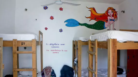 Hostal Vive la Vida | Quintana Roo - Solidaridad - Playa del Carmen - Centro