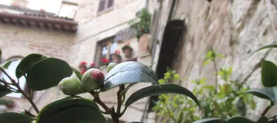 Hotel Trattoria Pallotta | Umbria - Perugia (vilayet) - Assisi