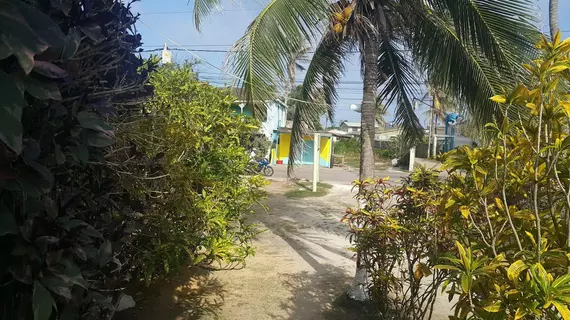 Ground Road Native Place | San Andres y Providencia - San Andres