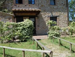 Le Crete Azienda Agraria Agriturismo | Toskana - Siena (vilayet) - Trequanda