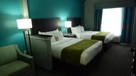 Comfort Suites Tampa | Florida - Tampa (ve civarı) - Tampa