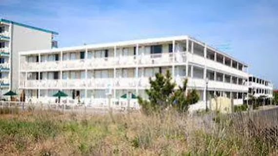 Seabonay Motel | Maryland - Ocean City (ve civarı) - Ocean City