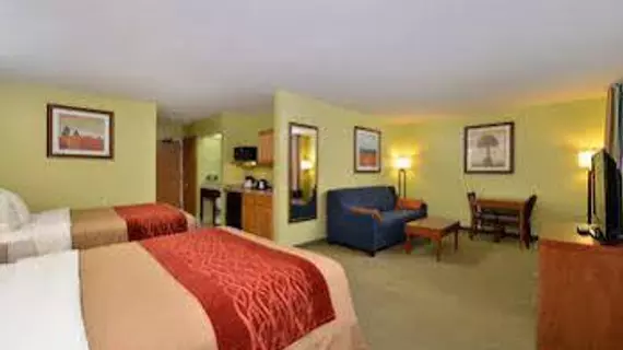 Comfort Inn & Suites Black River Falls | Wisconsin - Black River Şelaleleri (ve civarı) - Black River Şelaleleri