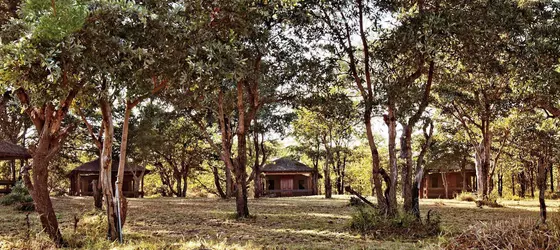 Shindzela Tented Safari Camp | Limpopo - Maruleng - Hoedspruit