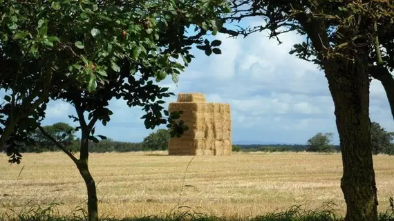 Sandy Brook Farm | Merseyside (ilçe) - Liverpool (ve civarı) - Southport