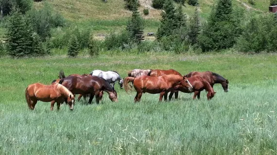 Diamond J Ranch | Montana - Ennis