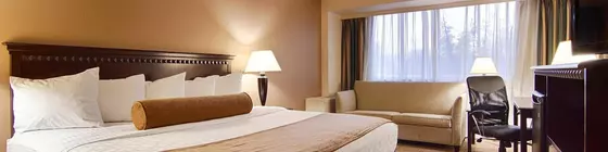 Best Western Plus Carrier Circle | New York - Syracuse (ve civarı) - East Syracuse