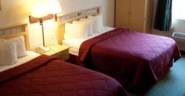 Lamplighter Inn & Suites | Kaliforniya - San Luis Obispo (ve civarı) - San Luis Obispo