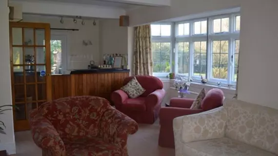 Little Forest Lodge | Hampshire (kontluk) - Ringwood