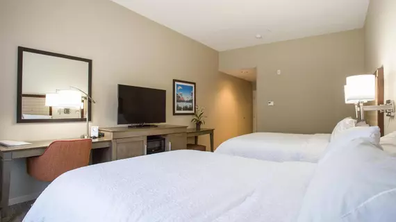 Hampton Inn and Suites Whitefish | Montana - Whitefish (ve civarı) - Whitefish