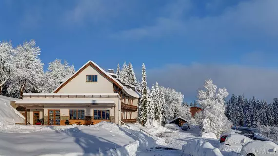 Bödele Alpenhotel | Vorarlberg - Schwarzenberg