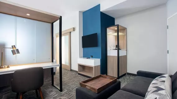 SpringHill Suites by Marriott Miami Doral | Florida - Miami (ve civarı) - Doral