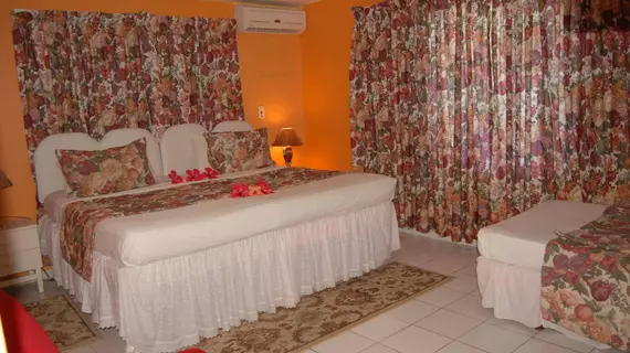 PinkHibiscus Guest House | Saint James - Montego Körfezi (ve civarı) - Montego Bay