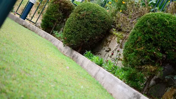 Spring Acre | Merkez Vilayet - Nuwara Eliya Bölgesi - Nuwara Eliya