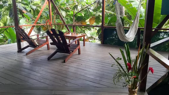 Lookout Inn Lodge | Puntarenas (ili) - Puerto Jimenez