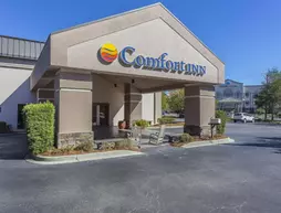 Comfort Inn Summerville | Güney Karolayna - Charleston (ve civarı) - Summerville