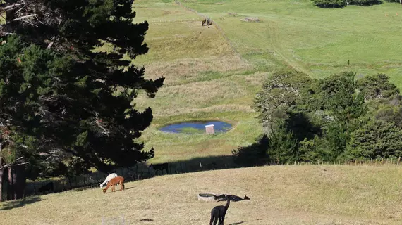 Pukeatua Farmstay | Auckland Bölgesi - Auckland (ve civarı) - Waimauku