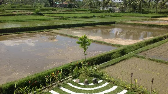 Manyi Village Ubud | Bali - Ubud