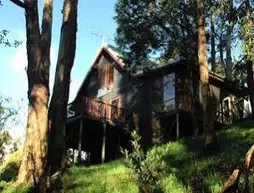 Tree Tops Cascades Cottages | Tazmanya - Hobart (ve civarı) - South Hobart